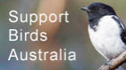 birds.jpg