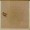 Goldwork Spider